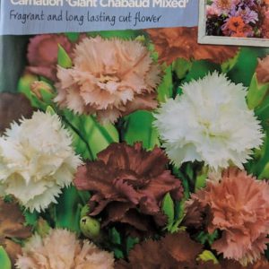 SR CARNATION Giant Chabaud Mixed