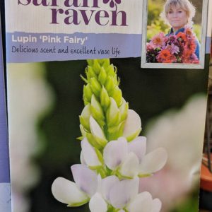 SR LUPIN Pink Fairy