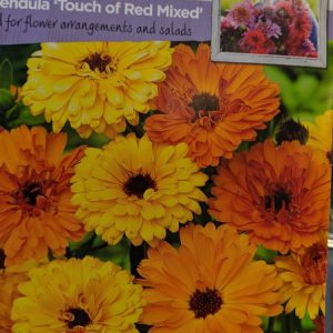 SR CALENDULA Touch of Red Mixed