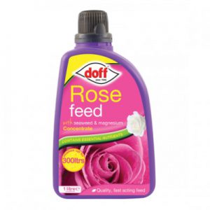 DOFF ROSE FEED