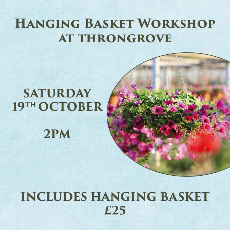 Hanging Basket Workshop 19/10/2024 2pm (incl hanging basket)