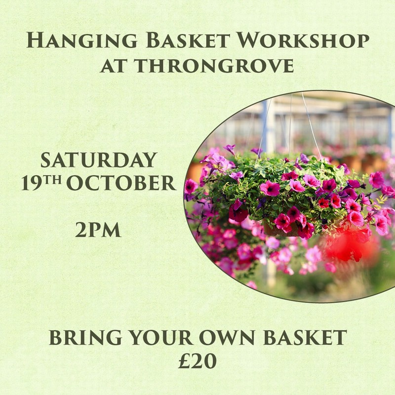 Hanging Basket Workshop 19/10/2024 2pm (excl. hanging basket)