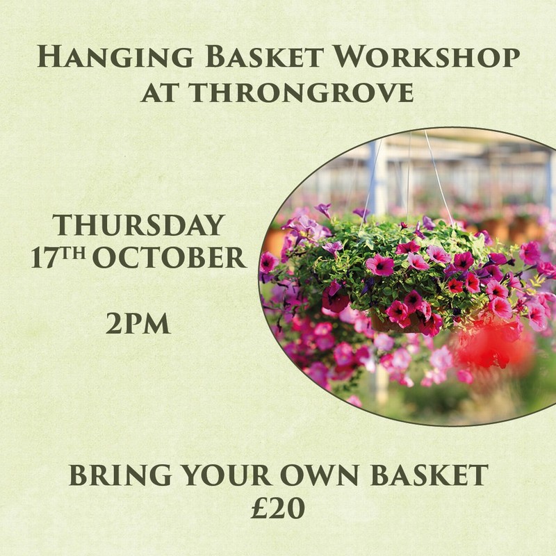 Hanging Basket Workshop 17/10/2024 2pm (excl. hanging basket)