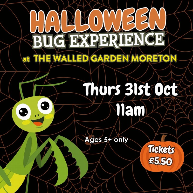 Halloween Bug Experience 31/10/2024 11am