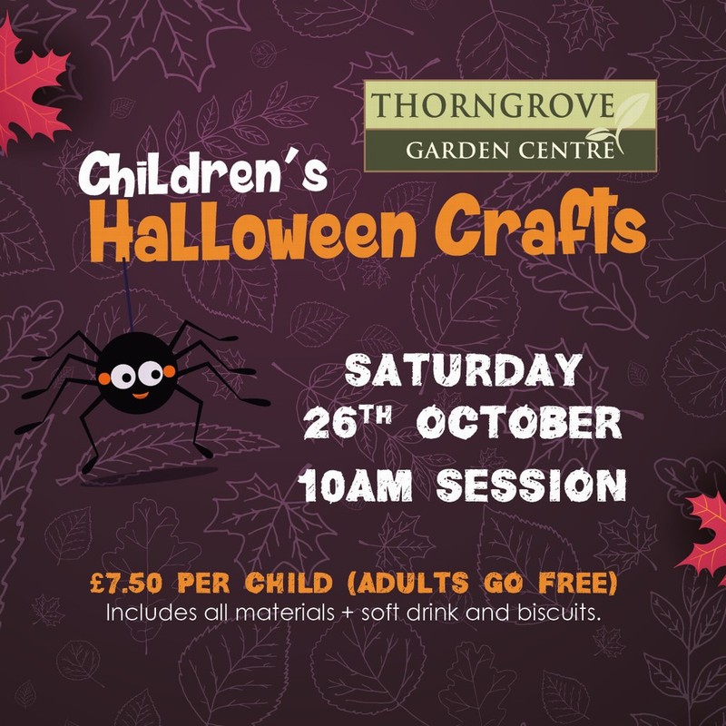 Children’s Halloween Craft 26/10/2024 10am