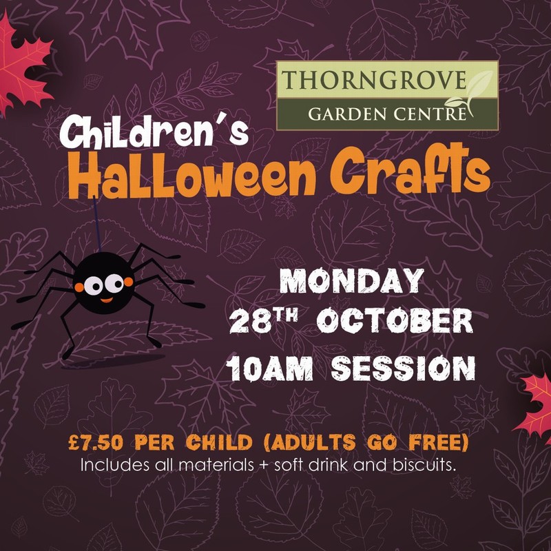 Children’s Halloween Craft 28/10/2024 10am