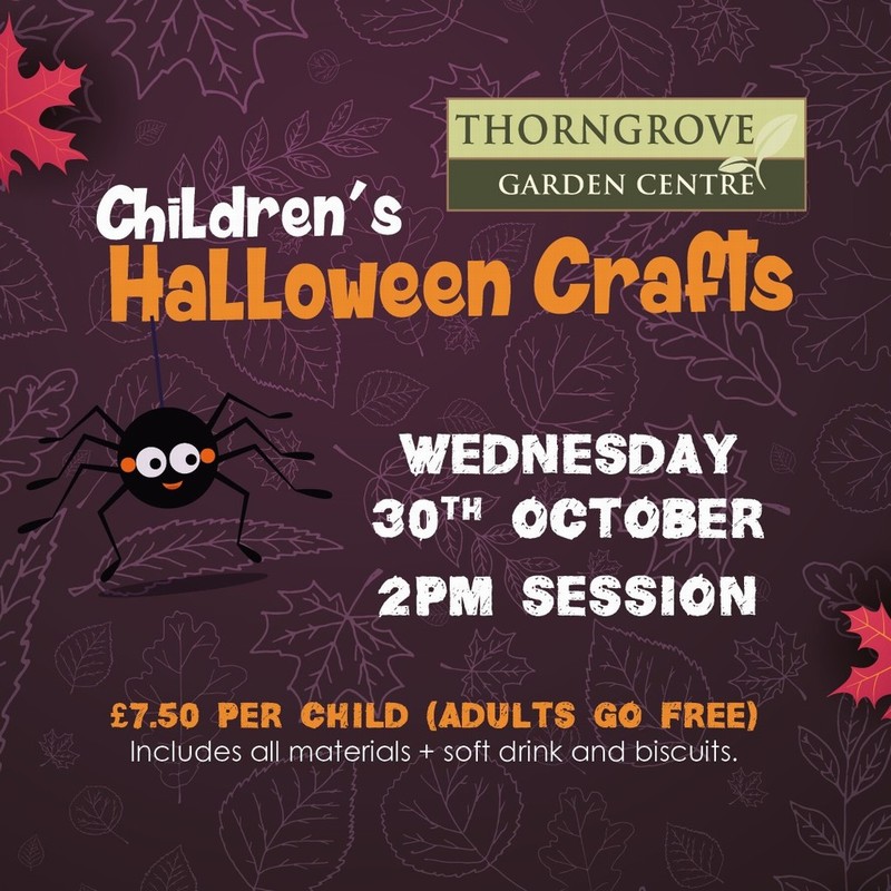 Children’s Halloween Craft 30/10/2024 2pm