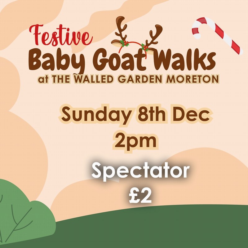 Baby Goat Walks at Walled Garden 8/12/2024 2pm spectator