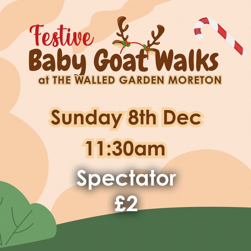 Baby Goat Walks at Walled Garden 8/12/2024 11.30am spectator