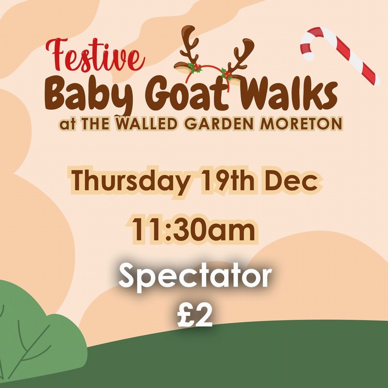 Baby Goat Walks at Walled Garden 19/12/2024 11.30am spectator