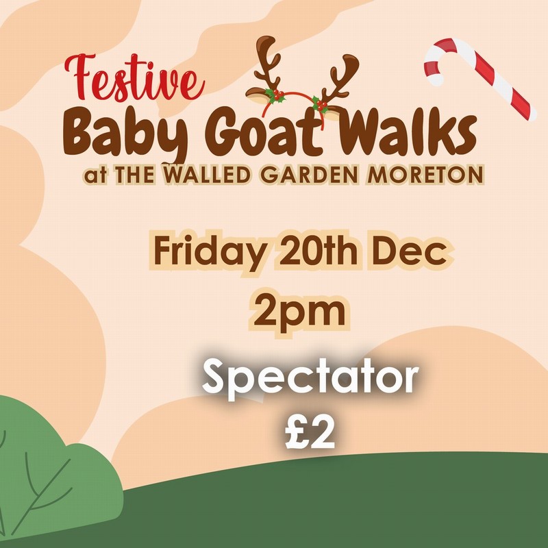 Baby Goat Walks at Walled Garden 20/12/2024 2pm spectator