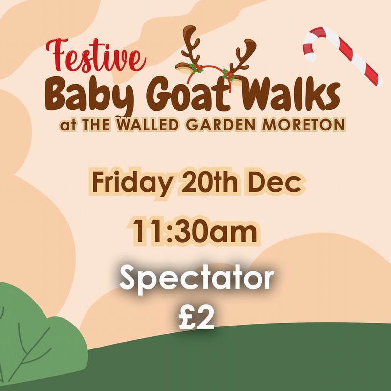 Baby Goat Walks at Walled Garden 20/12/2024 11.30am spectator