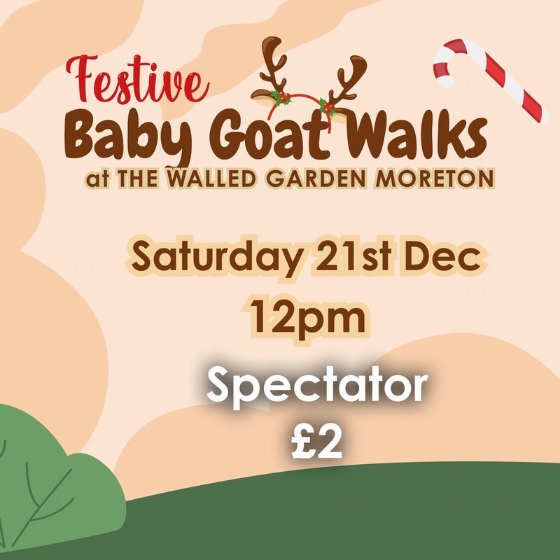 Baby Goat Walks at Walled Garden 21/12/2024 12pm spectator