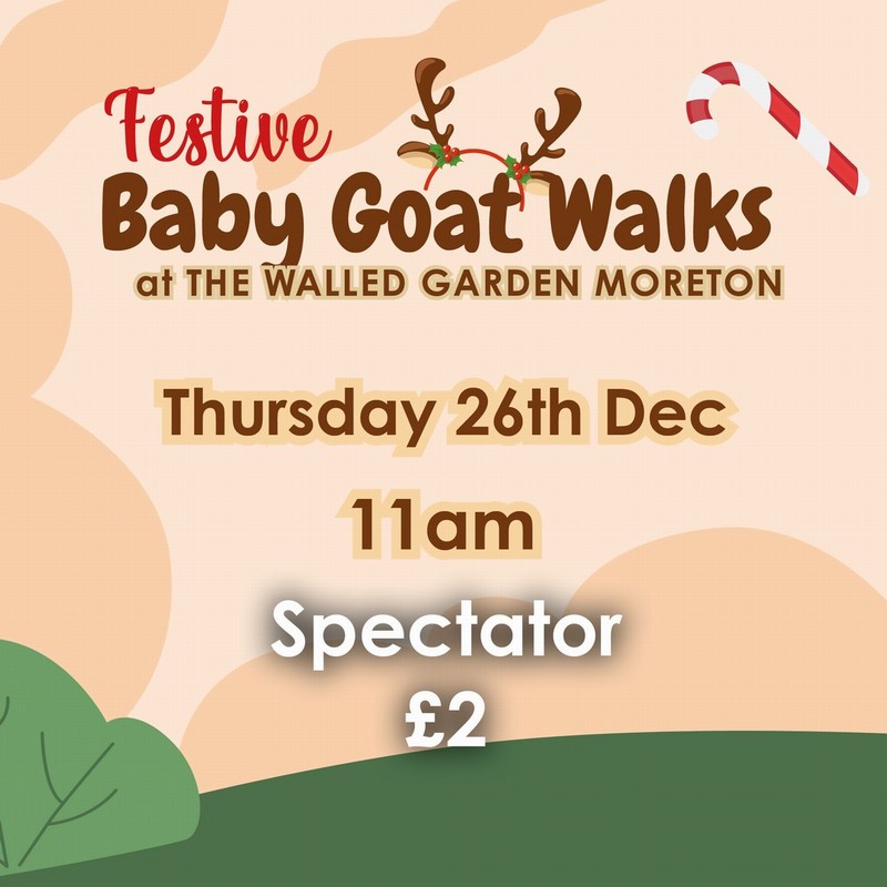 Baby Goat Walks at Walled Garden 26/12/2024 11am spectator