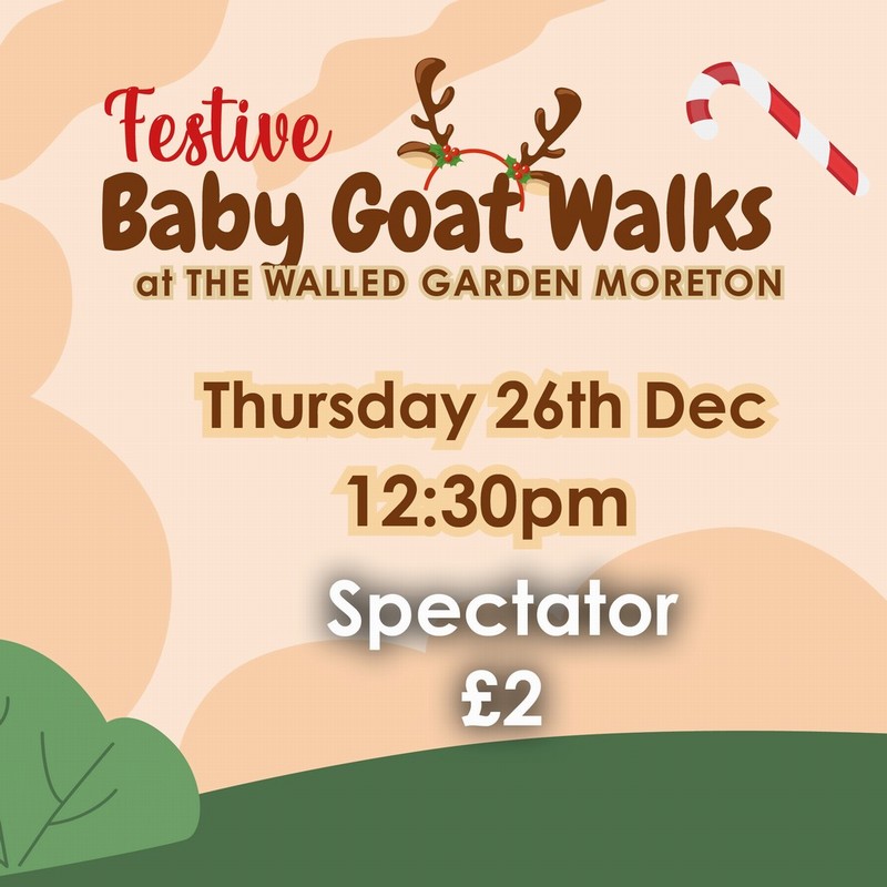 Baby Goat Walks at Walled Garden 26/12/2024 12:30pm spectator