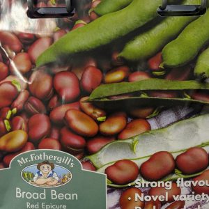BROAD BEAN Red Epicure