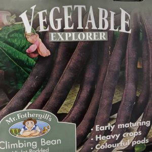 CLIMBING FRENCH BEAN Violet Podded