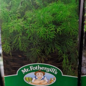 DILL (seeds pack)