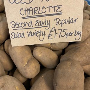 Seed Potato “Charlotte” (Second Early)