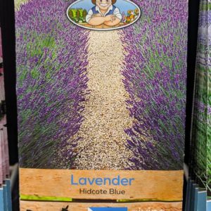 LAVENDER Hidcote Blue – seeds